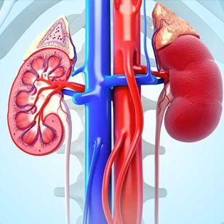 Kidney Cancer Treatment in Mumbai